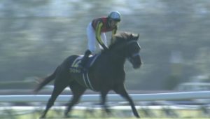 【競馬】フィエールマン宝塚記念へ　吉田代表が明言
