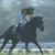 【競馬】フィエールマンが48とか言われてて辛い