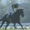 【競馬】菊花賞馬フィエールマン、神の馬だった