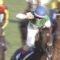 【競馬】外人って言うほど上手いか？
