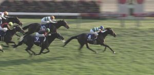 【競馬/天皇賞秋】アンカツ「天皇賞はハイペースだった」←えっ!?