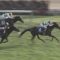 【競馬/天皇賞秋】アンカツ「天皇賞はハイペースだった」←えっ!?