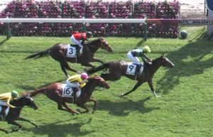 【競馬/2歳新馬】キタノインパクト大きく離された4着全く見せ場なしwwwwww