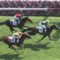【競馬/2歳新馬】キタノインパクト大きく離された4着全く見せ場なしwwwwww