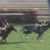 【競馬/毎日王冠】モレイラルメール福永…結局上手い騎手3人で決まりじゃん
