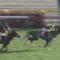 【競馬/毎日王冠】1番人気アエロリット・モレイラに誰も競りかけず楽逃げ糞レースすぎてワロタｗｗｗｗｗｗｗ