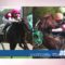 【競馬】武豊の騎乗フォームがやっぱ美しいと俺の中で話題