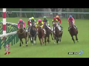 【競馬】ロードカナロアの函館SS【2012年】