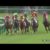 【競馬】ロードカナロア種付け料1500万円に値上げ←大失敗