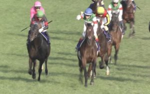 【競馬・有馬記念】三浦皇成は第35回有馬記念をオグリキャップで制した武豊みたいにレイデオロを復活させる事が出来るのか?