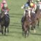 【競馬】レイデオロが未だにGⅠ 2勝止まりとかヤバくないか？！