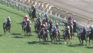【競馬】[画像] 東京5Rで藤田菜七子がモレイラをギリギリまで封じ込める神騎乗！！最後はモレイラの猛追に屈し惜しくも2着