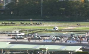 【競馬/ブラジルC】ノリポツンキタ━━━━(゚∀゚)━━━━!! 【競馬/ブラジルC】ノリポツンキタ━━━━(゚∀゚)━━━━!!