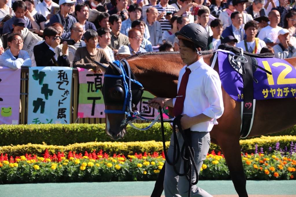 【競馬/秋華賞】[画像] サヤカチャンの横断幕の写真