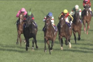 【競馬/有馬記念】ほんとにこのひどいメンバーで有馬やるのかよ