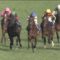 【競馬/有馬記念】ほんとにこのひどいメンバーで有馬やるのかよ