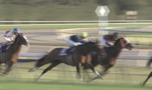 【競馬・ジャパンC】4着マカヒキ武豊「狙い通り競馬が出来た。あれしかない。復活の兆しが見えた。」