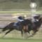 【競馬・ジャパンC】4着マカヒキ武豊「狙い通り競馬が出来た。あれしかない。復活の兆しが見えた。」
