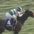 【競馬/天皇賞秋】なぜレイデオロは全くスター性が無いのか?