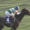 【競馬】アーモンドアイ勝たせるためにノーザン有力馬が続々JC回避