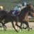 【競馬/有馬記念】複勝1億円おじさん、有馬記念にもあらわる 【競馬/有馬記念】複勝1億円おじさん、有馬記念にもあらわる