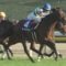 【競馬/ジャパンC】レイデオロ出てたら勝った？