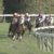 【競馬/有馬記念】キセキ川田、有馬当日は渾身の1鞍のみ