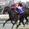 【競馬】ゴールドアクター引退決定、種牡馬入りへ　種付料は50万円