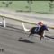 【競馬】山田敬士騎手、JRA初勝利「慌てたらダメ、冷静に乗ろうと考えていた」