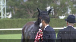 【競馬/秋華賞】国枝「アーモンドアイはレース後に裂傷を負った」