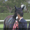 【競馬/秋華賞】国枝「アーモンドアイはレース後に裂傷を負った」