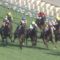 【競馬・毎日王冠】ダイワキャグニー去勢の理由「レースが近づくと牡牝お構いなしに馬っ気を出していた」
