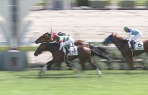 【競馬/2歳新馬】三冠候補エングレーバー登場 【競馬/2歳新馬】三冠候補エングレーバー登場