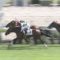【競馬/2歳新馬】三冠候補エングレーバー登場