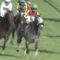 【競馬】モレイラ一部報道否定「来年６月９日以降は白紙」