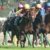 【競馬】モレイラ小回り専だった
