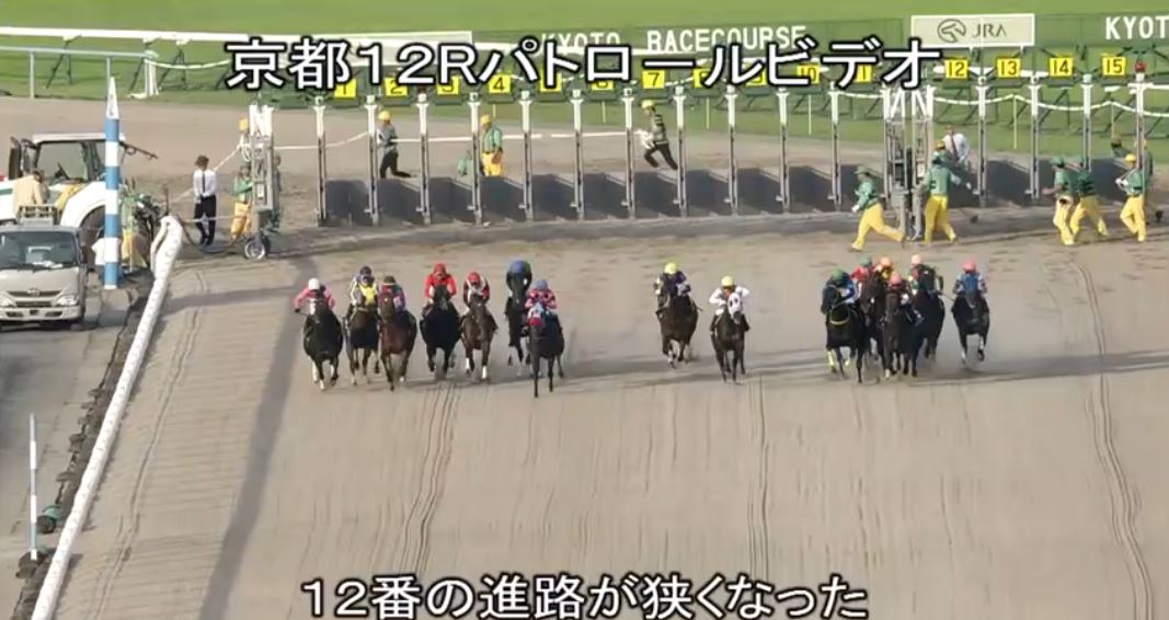 【競馬】デムーロさん、温情で菊花賞エタリオウの騎乗停止を免れる