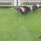 【競馬】福永さん、復帰早々一倍代で詰まりなさる
