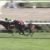 【競馬】サトノダイヤモンド、ジャパンＣでモレイラと初コンビ