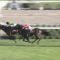 【競馬】池添「レッドジェノヴァは直線でブレーキかけたのがもったいない。この馬はこれから本格化するよ。」