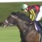 【競馬】フェエールマン逝くｗｗｗｗｗｗ 有馬記念 公開枠順抽選会