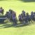 【競馬】グレイル野中師「菊花賞おもろなかったなあ。前半1分2秒7ってなあ。この馬の能力はあんなもんじゃない