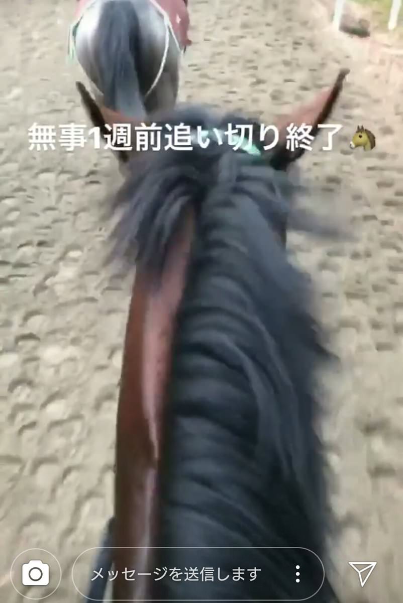 【競馬/菊花賞】池添のブラストワンピース愛ｗｗｗｗｗｗｗｗｗｗｗｗｗｗ