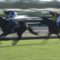 【競馬/日経賞】エタリオウまた2着ワロタw