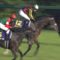 【競馬】フィエールマン手塚調教師「今回の結果は能力差ではなく、経験値の差だと思う」
