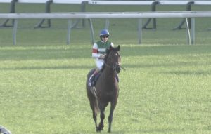 【競馬】悲報‥レイデオロ、放牧で有馬記念出否未定にwwwwww
