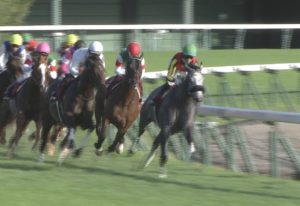 【競馬/毎日王冠】モレイラ接待www