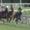 【競馬/アルテミスS】モレイラさん出遅れた上にドン詰まりｗｗｗｗｗｗｗｗｗｗｗｗｗｗｗｗ