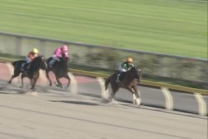 【競馬】川田将雅、シヴァージで直線油断騎乗 【競馬】川田将雅、シヴァージで直線油断騎乗