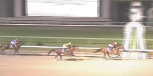 【競馬】アーモンドアイよりルヴァンスレーヴの方が凱旋門賞勝てると思うやつ 【競馬】アーモンドアイよりルヴァンスレーヴの方が凱旋門賞勝てると思うやつ